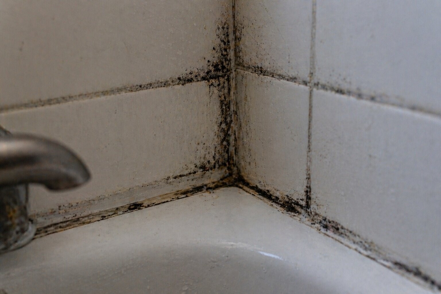 Before - Mold Damage Northern Virginia | AZA Restoration